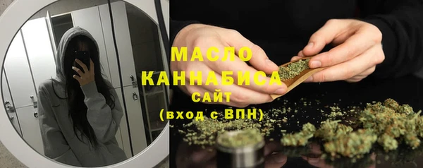 гашик Шадринск